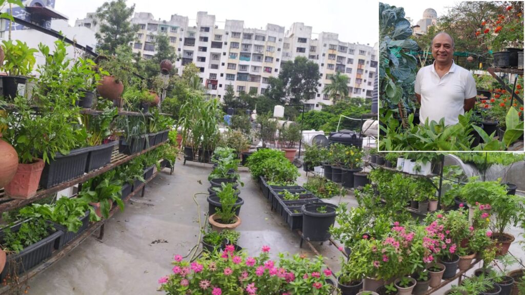 Climbing a Ladder to Change the World: Pune Engineer Shares How to Turn Terrace into Soil-Free Green Movement