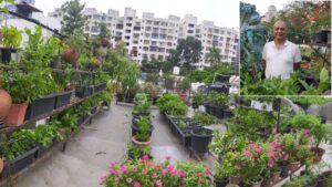Climbing a Ladder to Change the World: Pune Engineer Shares How to Turn Terrace into Soil-Free Green Movement