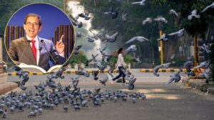 Harsha Bhogle: "Stop Feeding Pigeons," Says Commentator While Referring to Pune Incident