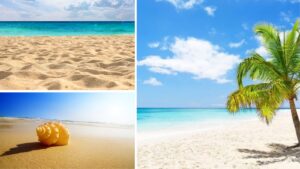 Why There Is Sand on the Seashore? All you wanted to Know