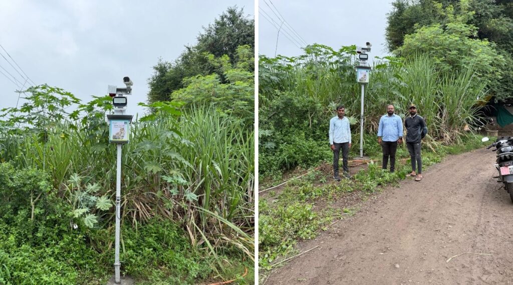 Pune: AI-Based Alert Systems Installed At 12 Locations In Shirur To Reduce Human-Leopard Conflicts