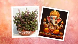 Dual Curse: Why Tulsi Is Not Used in Ganesha Worship — The Legend Behind the Belief