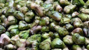 Benefits Of Eating Singhara In Winter: The Superpower Fruit That Boosts Strength And Fights Seasonal Problems