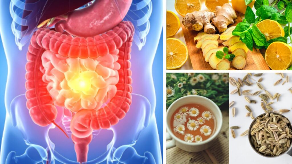 6 Bedtime Drinks That Help Your Gut Heal While You Sleep