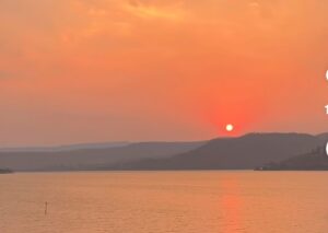 Oplus_16908288