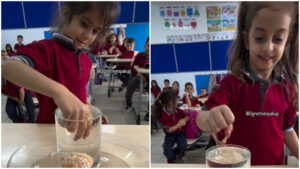 Viral Classroom Experiment: ‘Orange in Water’ Challenge Amazes Students and Explains Displacement