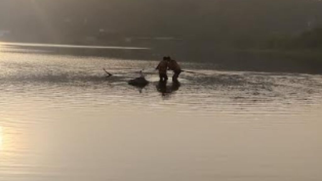 Pune: 13-Year-Old Boy Rescued From Jambhulwadi Lake, Rushed To Hospital After Drowning Incident