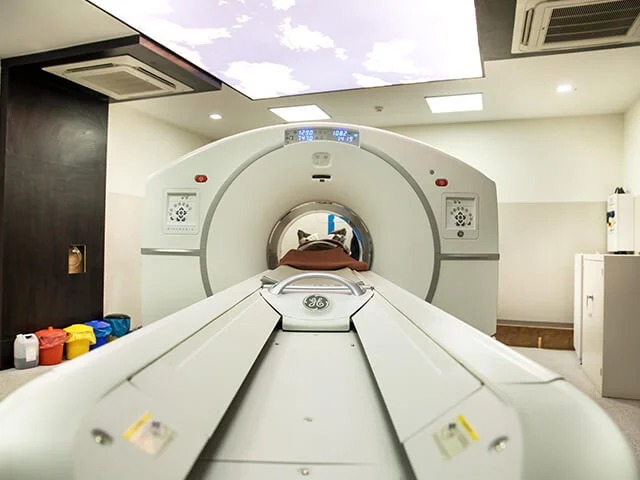 Pune Municipal Corporation Set to Become India’s First Civic Body to Offer PET Scan, MRI, CT, and Advanced Diagnostic Lab Services