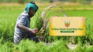 Pune: Farmers Urged To Enroll In Pradhan Mantri Crop Insurance Scheme For Rabi 2025-26 Season