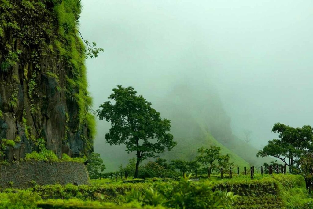 Short Post-Monsoon Retreats near Pune: Where Nature, Heritage and Tranquillity Create Perfect Harmonious Balance
