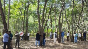 Nashik Residents Launch ‘Chipko’ Protest To Stop Felling Of 1,800 Trees For Sinhastha Kumbh Mela Preparations