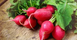 Winter Health Tips: Why Radish Is a Powerful Remedy for Digestion, Gas and Seasonal Immunity