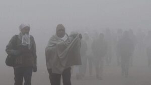 Weather Alert For January 1: Next 24 Hours Critical as Cold Wave Tightens Grip Over Maharashtra; IMD Issues Warning