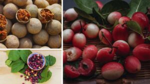 Five Forgotten Indian Fruits Worth Rediscovering on Your Next Market Visit