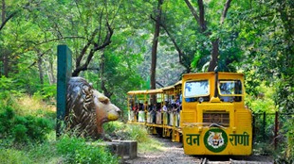 Welcome 'Queen of the Forest': Mumbai's Vanrani Toy Train Returns After 4 Years: Second Vintage Train Joins Vistadome