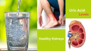 How Much Water Is Enough for Healthy Kidneys and Balanced Uric Acid Levels