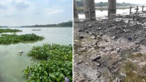 NGT Joint Committee Report Flags ‘Alarming’ Pollution in Godavari River at Nanded