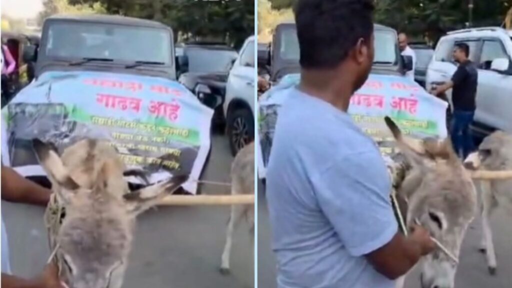 Pune: Humane World For Animals India Demands Action From Collector After Donkeys Forced To Pull SUV