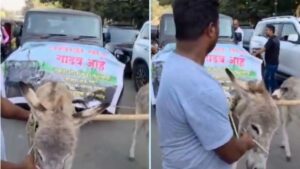 Pune: Humane World For Animals India Demands Action From Collector After Donkeys Forced To Pull SUV