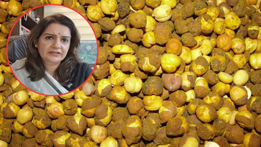 MP Priyanka Chaturvedi Demands Urgent Action On Carcinogenic Dye Found In Roasted Chana