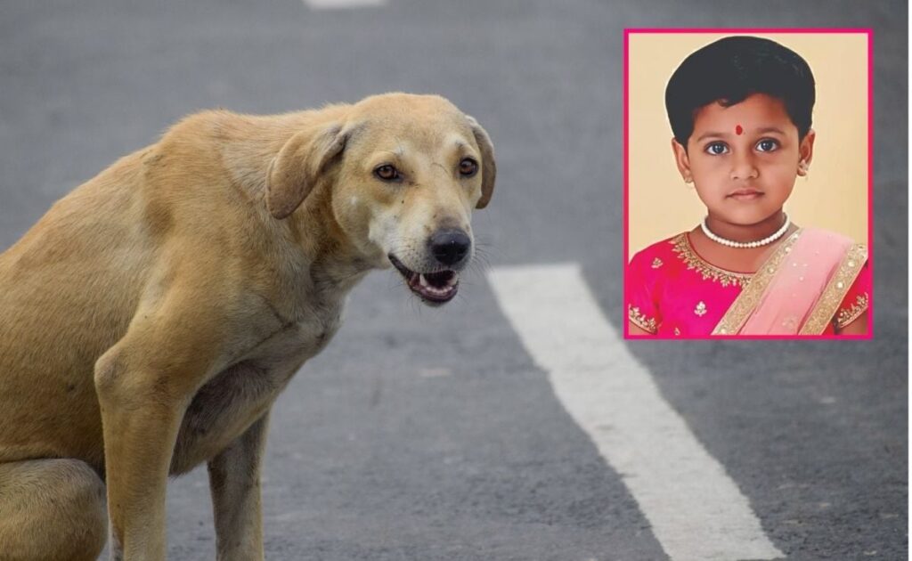 Five-Year-Old Girl Dies Of Rabies Despite Vaccination, Raises Alarms Over Treatment And Stray Dog Menace