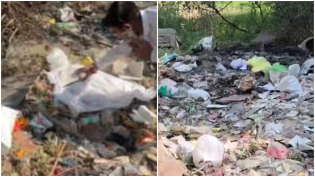 Pune News: Newborn Girl Found Abandoned in Garbage in Pimple Nilakh