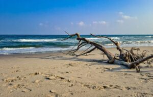 Five Lesser-Known Quiet Indian Beaches: Calm Waters, Natural Beauty, and Relaxing Seaside away from Typical Tourist Routes