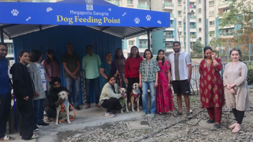 Pune: Megapolis Sangria Society Sets Up Dedicated Dog-Feeding Zone, Showing How Humans and Animals Can Coexist