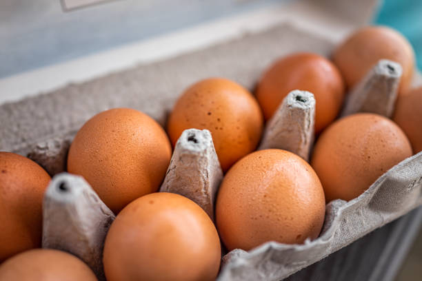 Nitrofurans Detected in Eggs, Centre Issues Alert; Probe Yet to Begin in Muzaffarpur