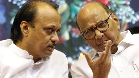 Sharad_Pawar_and_Ajit_1732452892832_1735804114760