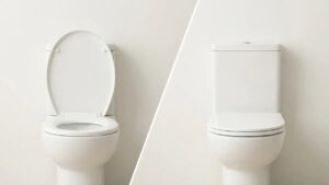 Should the Toilet Seat Lid Stay Up or Down? Science Explains Hygiene, Germs and Flushing Habits