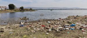 Kapurwadi Lake: Historic Bird Haven and Lifeline Under Threat from Pollution and Neglect