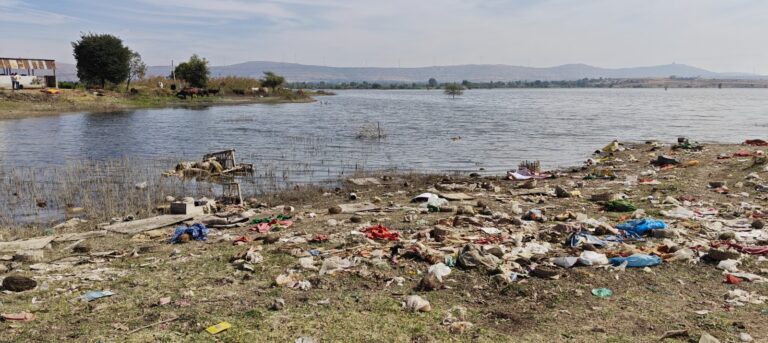 Kapurwadi Lake: Historic Bird Haven and Lifeline Under Threat from Pollution and Neglect