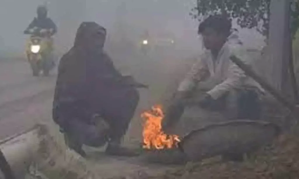 Weather Alert: Next 24 Hours Critical as Cold Wave Tightens Grip Over Maharashtra; District-Wise Forecast Issued