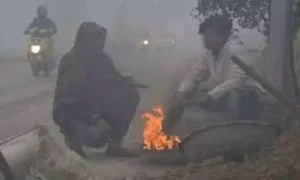 Weather Alert: Next 24 Hours Critical as Cold Wave Tightens Grip Over Maharashtra; District-Wise Forecast Issued