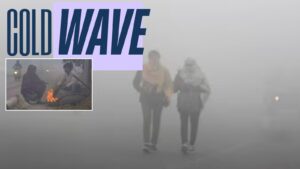Weather Alert Maharashtra For December 23: Severe Cold Wave Expected on Tuesday, IMD Issues Warning