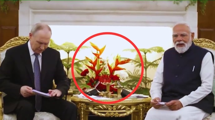 Why This Bright Tropical Flower Behind PM Modi and President Putin Stood Out — Aesthetic Choice or Symbolic Message?