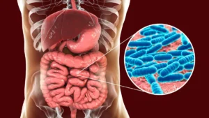 Your Roommate’s Genes Might Influence Your Gut Health, New Study Suggests