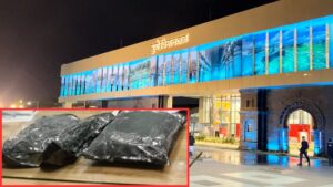 Pune Airport: Hydroponic Marijuana Worth ₹2.29 Crore Seized From Passenger On Bangkok IndiGo Flight, One Held