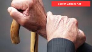 Bombay High Court Says Senior Citizens Act Cannot Be Misused To Evict Children