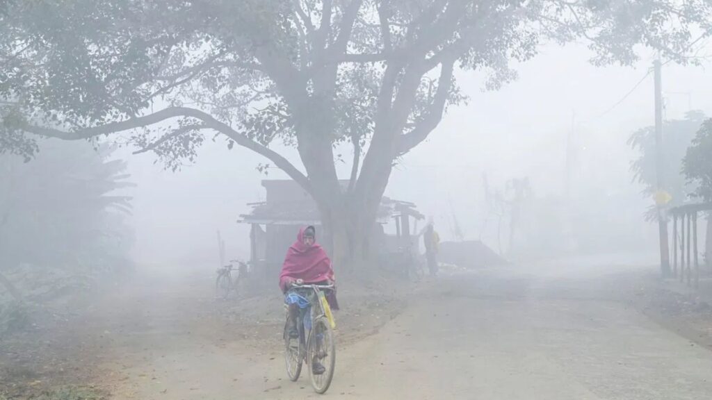 Maharashtra Weather Update For January 24: IMD Warns of Possible Cold Wave Return; Next 12 Hours Critical