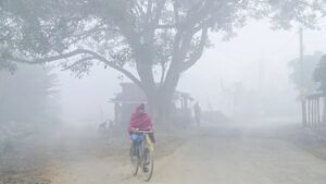 Maharashtra Weather Update For January 24: IMD Warns of Possible Cold Wave Return; Next 12 Hours Critical