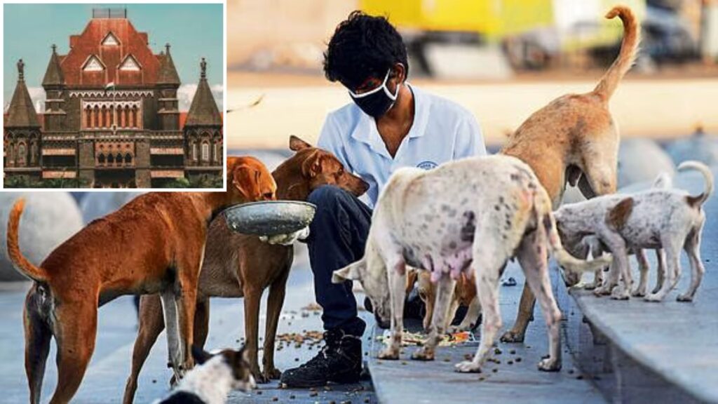 Pune: Bombay High Court Rules Obstructing Stray Dog Feeding In Non-Designated Areas Is Not ‘Wrongful Restraint’