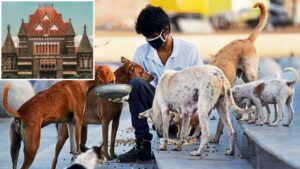 Pune: Bombay High Court Rules Obstructing Stray Dog Feeding In Non-Designated Areas Is Not ‘Wrongful Restraint’