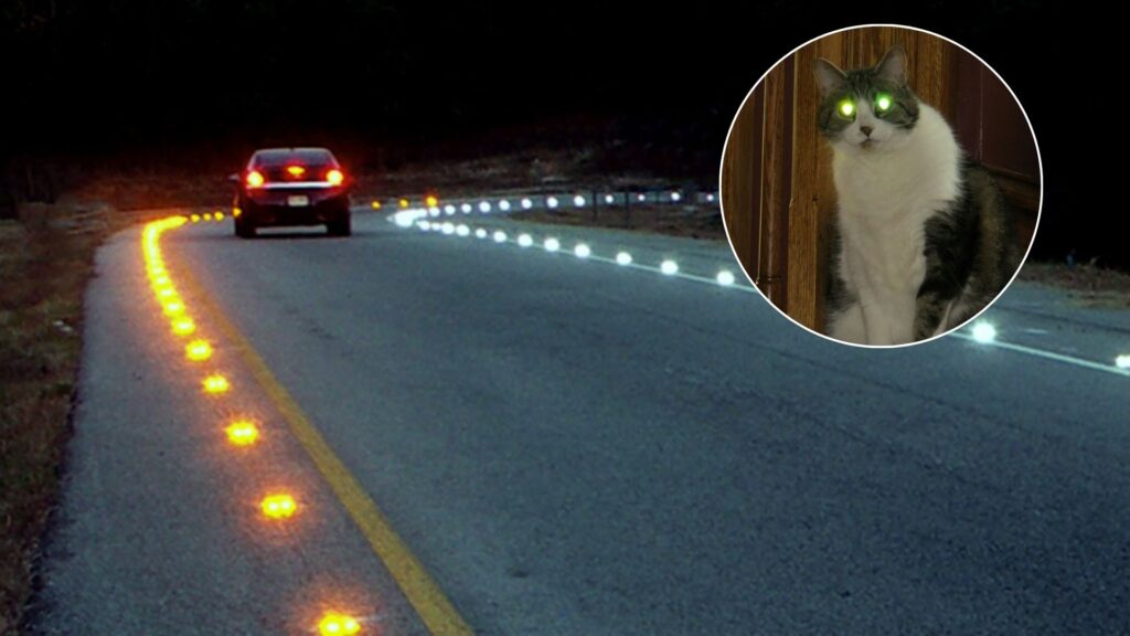 How Road Reflectors Glow? Know the Amazing Science Behind Cat’s Eyes Studs