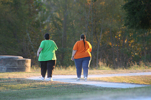 Walk “Just This Much” to Lose Weight: Morning or Evening—Which Works Best?