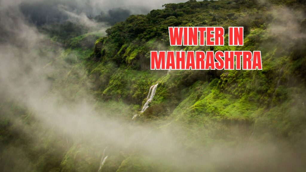 Winter in Maharashtra: Mahabaleshwar Isn’t the Coldest—Here’s the Real Chilly Champion