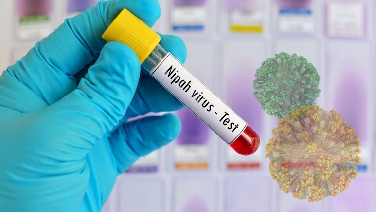 WHO Says India Is Handling Nipah Well, No Need to Stop Travel or Trade