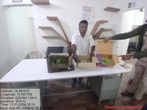 Pune Forest Department Cracks Down On Alexandrine Parakeet Trafficking, Rescues Four Protected Birds From Kausarbaug