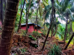 Konkan’s Unique Village Where Natural Water Flows Through Every Home